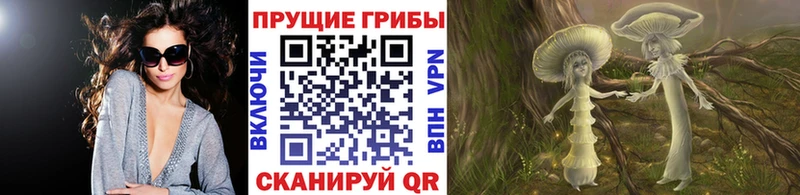Галлюциногенные грибы Psilocybe  OMG как зайти  Щигры 